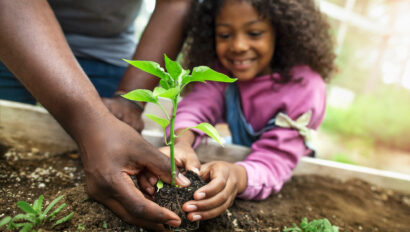 A man and a girl planting a plant in the dirt.